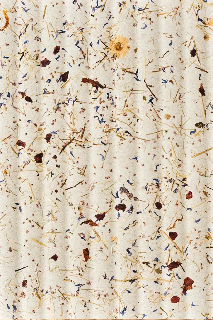 Slalom's Boom in Millerighe