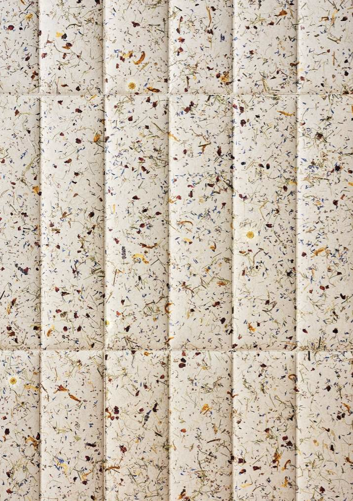 Grass in ECOwall by Slalom